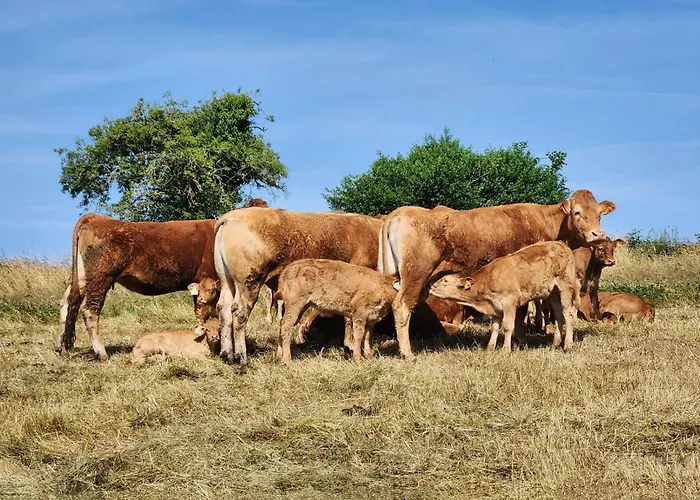 La Source Du Bonheur Et Table D'hotes