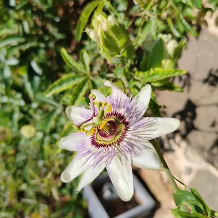 La Source Du Bonheur Et Table D'hotes