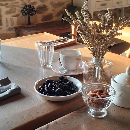 Bed and breakfast La Source Du Bonheur Et Table D'hotes Rieupeyroux (Aveyron)