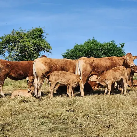 La Source Du Bonheur Et Table D'hotes
