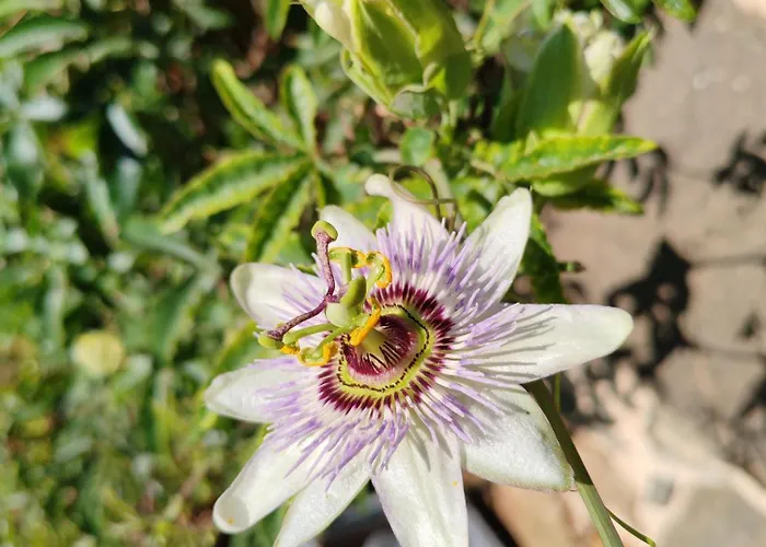 La Source Du Bonheur Et Table D'hotes